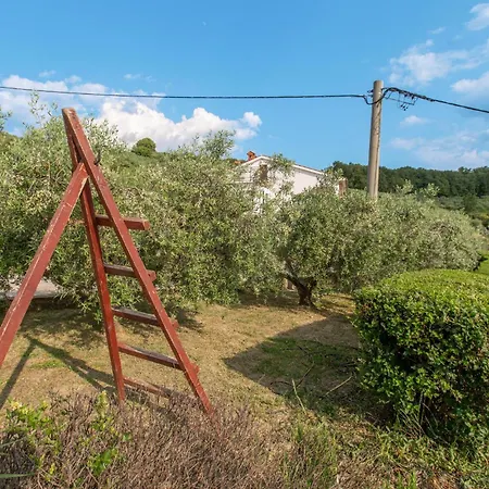 1 Bedroom Awesome In *