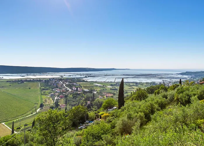 דירה 1 Bedroom Awesome In Sečovlje