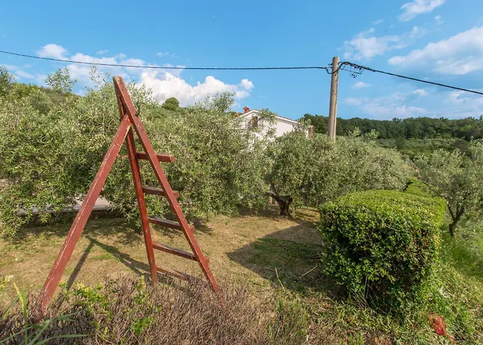 1 Bedroom Awesome In *